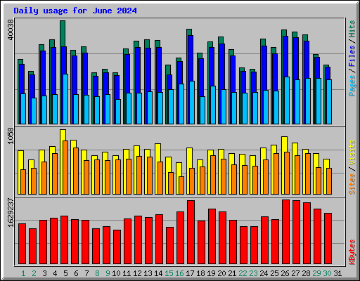 Daily usage for June 2024