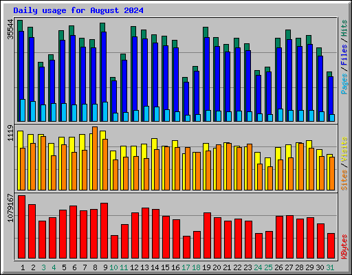 Daily usage for August 2024