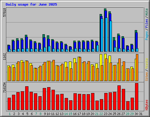 Daily usage for June 2025