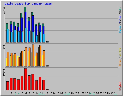 Daily usage for January 2026