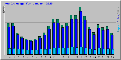 Hourly usage for January 2023