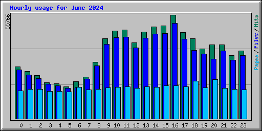 Hourly usage for June 2024