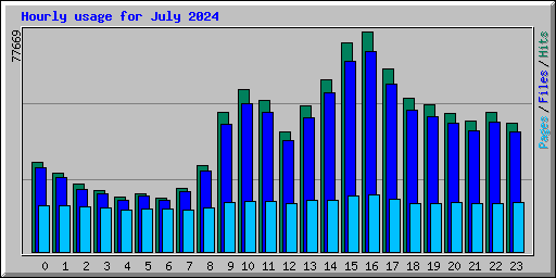 Hourly usage for July 2024