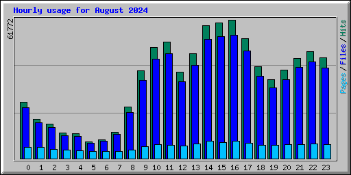 Hourly usage for August 2024