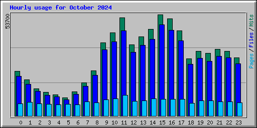 Hourly usage for October 2024