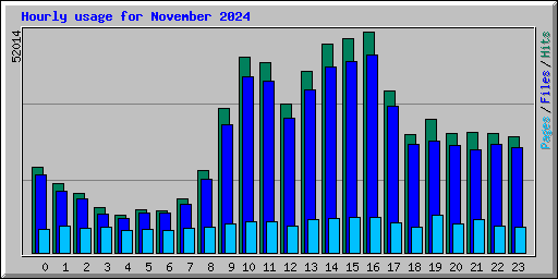 Hourly usage for November 2024