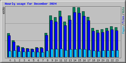 Hourly usage for December 2024