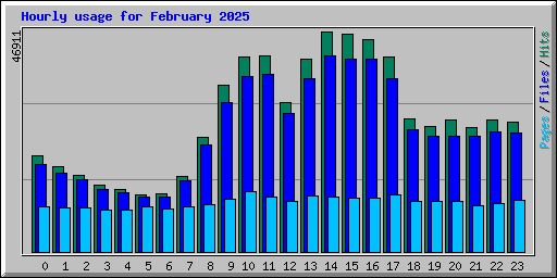 Hourly usage for February 2025