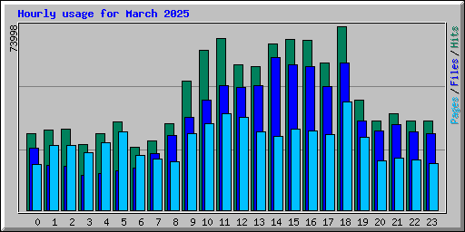 Hourly usage for March 2025