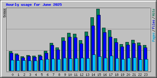 Hourly usage for June 2025