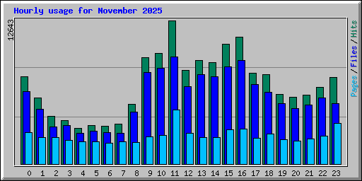 Hourly usage for November 2025