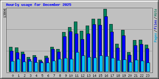 Hourly usage for December 2025