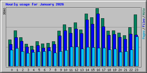 Hourly usage for January 2026