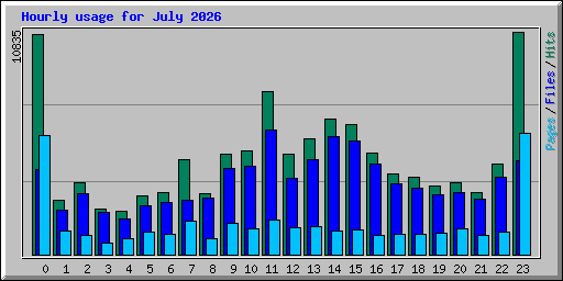 Hourly usage for July 2026