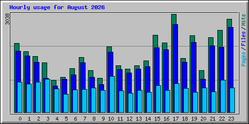 Hourly usage for August 2026